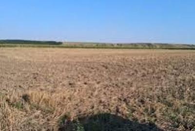Teren agricol extravilan de 60000 mp, în Moțăței - 1