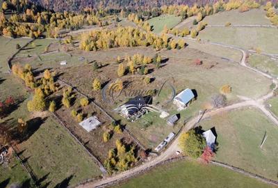 Teren Construcții intravilan de 66000 mp, în Măguri - 4