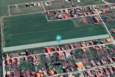 Teren agricol intravilan de 7317 mp, în Zimandu Nou - 2