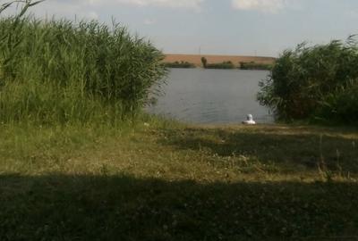 Teren Construcții intravilan de 2500 mp, în Bulbucata - 3