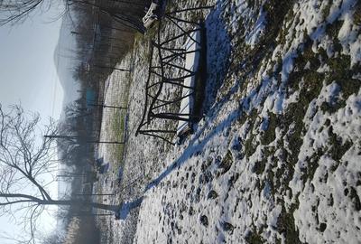 Teren de 1300 mp, în Ciritei - 1