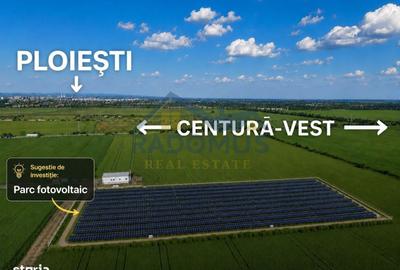 Spațiu comercial, în Vest - 3