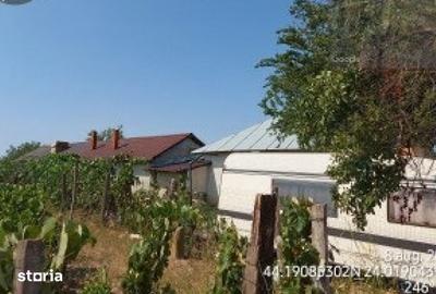 Teren de 830 mp, în Recea
