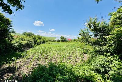 Teren de 2000 mp, în Aroneanu - 1