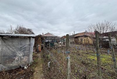Casă cu Teren 614 Mp în Ceptura - 1