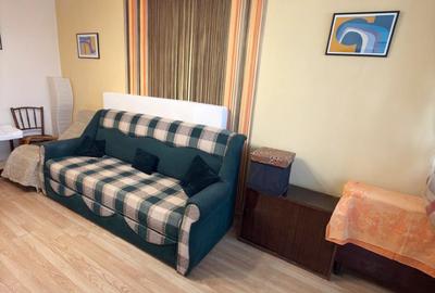 Apartament cu 2 camere decomandat, mobilat în Camil Ressu - 2