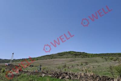 Teren agricol extravilan de 60000 mp, în Agrișteu - 7