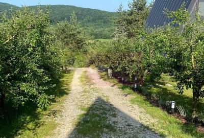 Casă cu 2 camere cu Teren 6000 Mp în Bălilești - 18