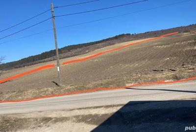 Teren de 5000 mp, în Central