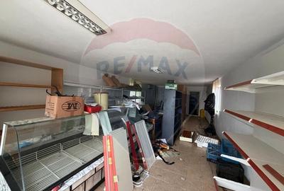 Casă individuală cu 5 camere cu Teren 1513 Mp în Câmpineanca - 9