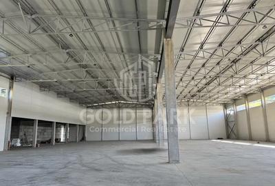 Spațiu industrial, de 1,300 mp, în Gruia - 4