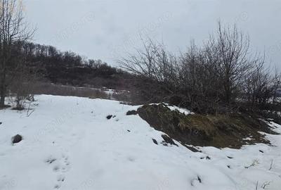 Teren de 3946 mp, în Jelna - 2