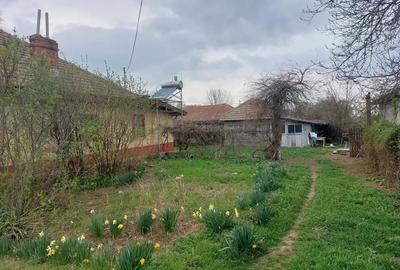 Teren de 7400 mp, în Fierbinți-Târg - 2