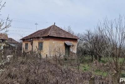 Teren de 1150 mp, în Goicea - 1