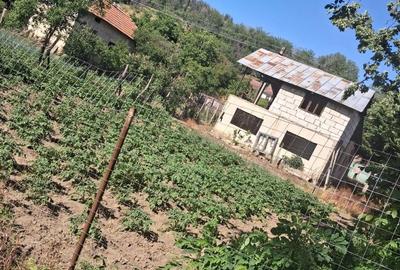 Casă cu 3 camere în Izvoru Aneștilor - 15