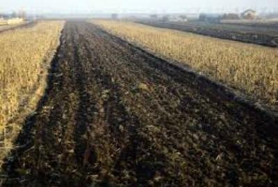 Teren extravilan de 32000 mp, în Oboga - 1