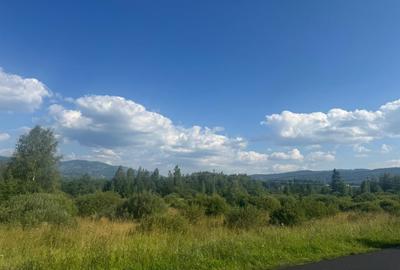 Teren Construcții intravilan de 12743 mp, în Șaru Dornei - 1