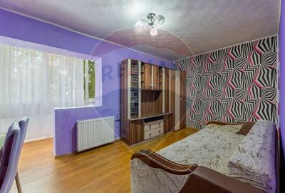 Apartament cu 1 camere semidecomandat, mobilat în Confecții
