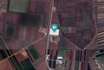 Teren de 48300 mp, în Glina - 3