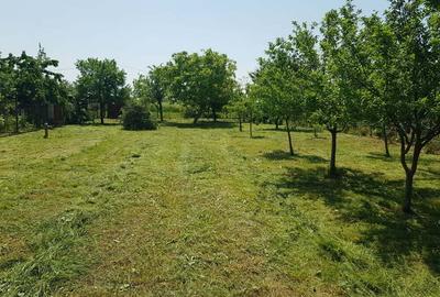 Teren de 600 mp, în Careiului - 3