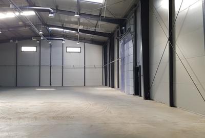 Spațiu industrial, de 598 mp, în Mogoșoaia - 3