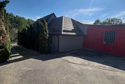 Casă cu 4 camere în Tarna Mare - 6