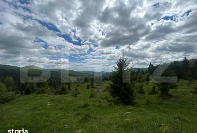 Teren de 5000 mp, în Central