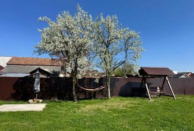 Casă cu 3 camere cu Teren 1100 Mp în Mireșu Mare - 8