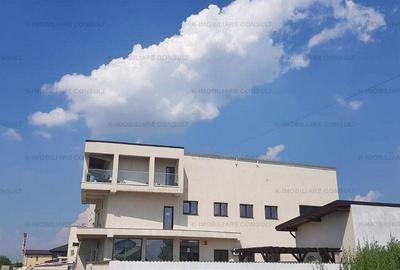 Spațiu industrial, de 1,400 mp, în Pantelimon - 2