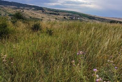 Teren extravilan de 1200 mp, în Iris