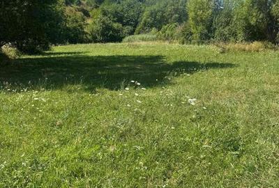 Teren de 2299 mp, în Râu de Mori