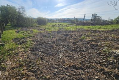 Teren de 8780 mp, în Vărădia de Mureș - 2