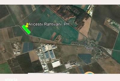 Teren de 52500 mp, în Ariceștii Rahtivani