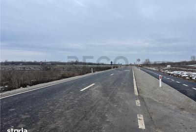 Teren de 30000 mp, în Biharia - 9
