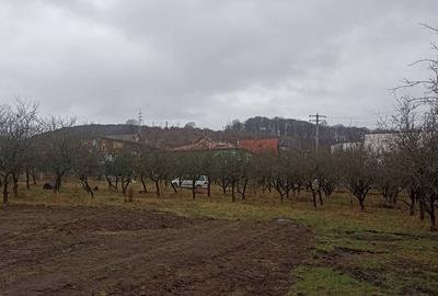 Teren Construcții intravilan de 455 mp, în Periferie - 8