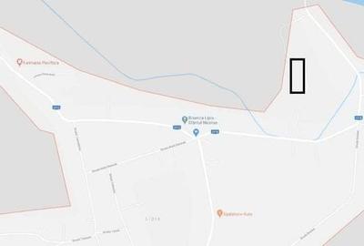 Teren de 7400 mp, în Gruiu