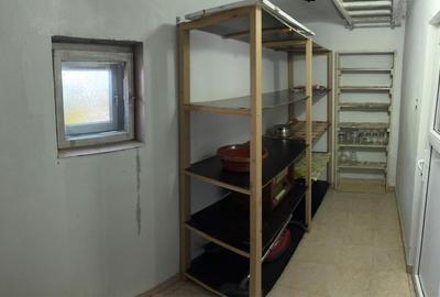 Casă cu 3 camere în Cărpiniș - 1