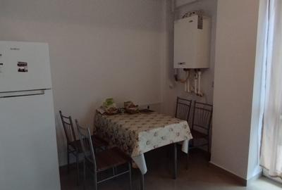 Apartament cu 2 camere semidecomandat, mobilat în Popas Păcurari - 8