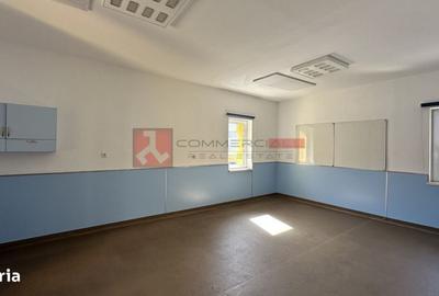 Spațiu comercial, de 520 mp, în Blumăna - 5