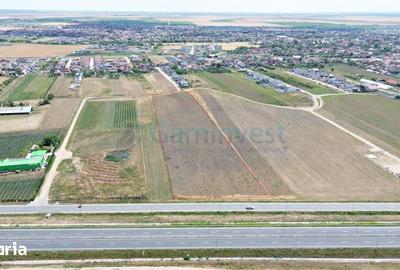 Teren de 20742 mp, în Sântandrei - 1