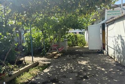 Teren de 400 mp, în Brazda lui Novac - 6