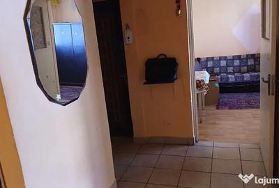 Apartament cu 2 camere decomandat în Siderurgiștilor - 3