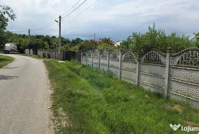 Casă cu 3 camere cu Teren 5063 Mp în Uzunu - 3