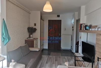 Apartament cu 2 camere în Podu Roș