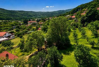 Teren de 7516 mp, în Nicolae Bălcescu - 2