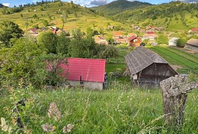 Casă cu 4 camere cu Teren 2000 Mp în Bolovăniș - 2