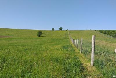 Teren de 18000 mp, în Feldioara - 1
