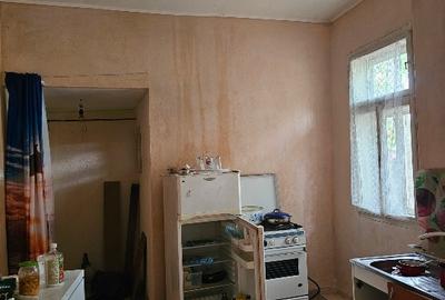 Casă individuală cu 4 camere cu Teren 2169 Mp în Beba Veche