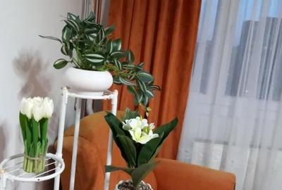Apartament cu 2 camere semidecomandat în Drumul Taberei