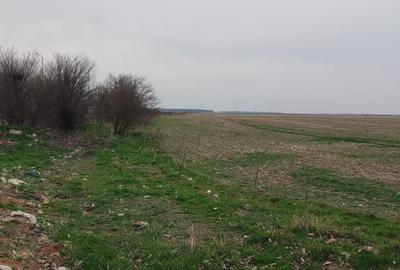 Teren Construcții intravilan de 5000 mp, în Tânganu - 5